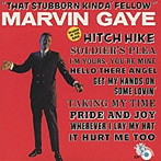 マーヴィン・ゲイ/スタボン・カインダ・フェロウ