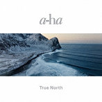 a-ha/トゥルー・ノース