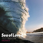 HONEY meets ISLAND CAFE-sea of Love 6- Collaboration with BAYFLOW