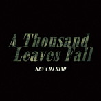 KEN×DJ RIND/A Thousand Leaves Fall