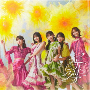 乃木坂46/是非に及ばず（Type-D）（Blu-ray Disc付）