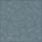 MAYA ONGAKU/Nothing Space Music