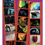 OK集（通常盤）（Blu-ray Disc付）