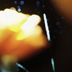 Buddha Jane/WA