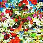 orange pekoe/Wild Flowers（初回生産限定盤）（DVD付）