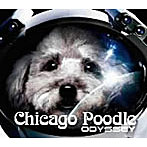Chicago Poodle/ODYSSEY