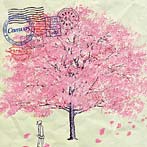 Camvas/サクラビト