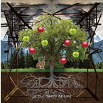DIV/TASTE OF LIFE（初回生産限定盤）（DVD付）