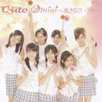 ℃-ute/2mini〜生きるという力〜