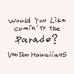 VooDoo Hawaiians/Would You Like Comin’to the Parade？
