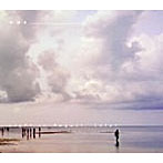 aus/Light in August，Later