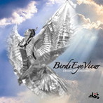 D・O・T/BIRDS EYE VIEW