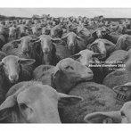 Jun Kawabata/Absolute Elsewhere 2023