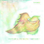 SHUICHI AOKI＆CHIE IWASHITA（Night Hawks）/iron birds
