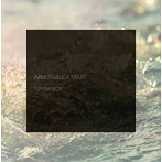 INFIRM BOX/IMMUTABLE A MAZE