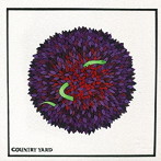 COUNTRY YARD/ONE
