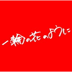 清水孝宏/一輪の花のように