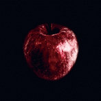 g-crazy/ROTTEN APPLE