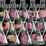 Anatomy/Organize the Organs