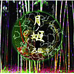 己龍/月ノ姫B-type（DVD付）