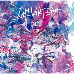 Royz/I AM WHAT I AM（初回限定盤:B）（DVD付）