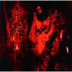 己龍/朱花艶閃（初回限定盤）（DVD付）