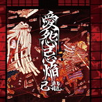己龍/愛怨忌焔（初回限定版Bタイプ）（DVD付）