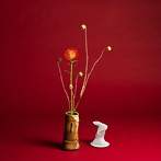 Seiho/Collapse