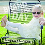 Sandy Beach Surf Coaster/BRAND NEW DAY