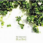 坂本麗衣/Blue Bird