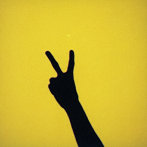 RiL/ii