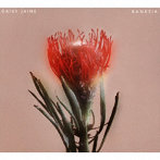 Daisy Jaine/Banksia