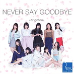 Rev.from DVL/NEVER SAY GOODBYE 〜arigatou〜（Type-B）（DVD付）