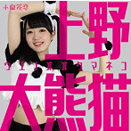 小泉花恋/上野大熊猫