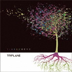 TRIPLANE/1/4802のすべて