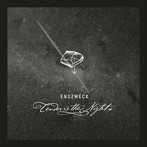 ENDZWECK/tender is the night