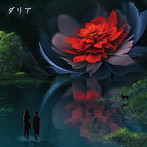 Dahlia/ダリア