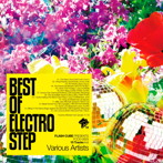 BEST OF ELECTRO STEP