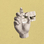 catalina/Walls，Fragments