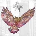Winking Owl/Supernova