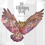 The Winking Owl/Supernova