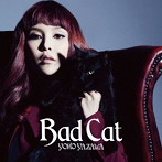 矢沢洋子/Bad Cat