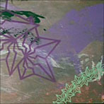 ECCY/Blood The Wave