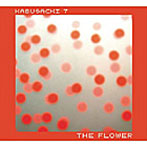 フェルナンド・カブサッキ/The Flower+The Radio