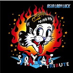 STRAY CATS TRIBUTE〜ASIA LADY LUCK〜
