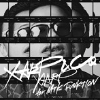 XARP/XARP＆CO