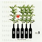 no.9/http://9-9-9-9-9.com