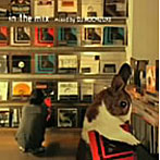 DJ MOCHIZUKI/in the mix