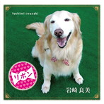 岩崎良美/リボン