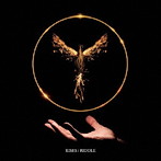 RIDDLE/RISES